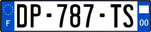 DP-787-TS