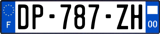 DP-787-ZH