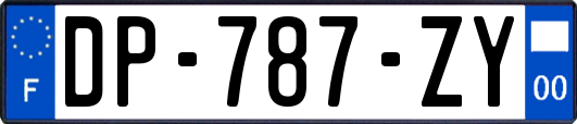 DP-787-ZY