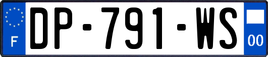 DP-791-WS