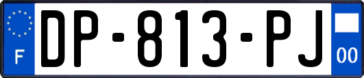 DP-813-PJ