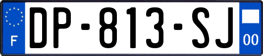 DP-813-SJ