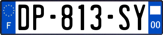 DP-813-SY