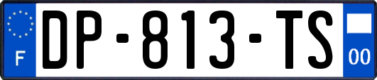 DP-813-TS