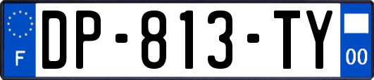 DP-813-TY