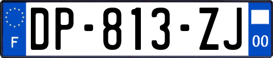 DP-813-ZJ