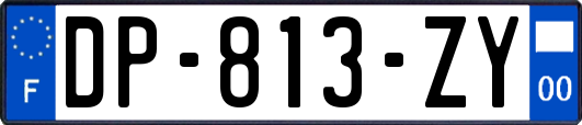 DP-813-ZY