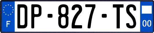 DP-827-TS
