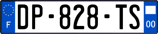 DP-828-TS