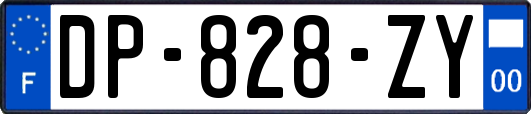 DP-828-ZY