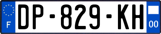 DP-829-KH