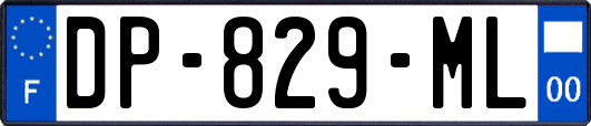 DP-829-ML