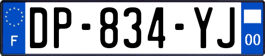 DP-834-YJ