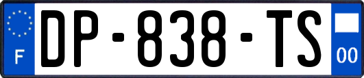 DP-838-TS