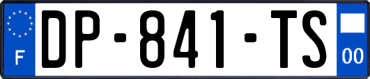 DP-841-TS