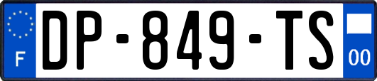 DP-849-TS