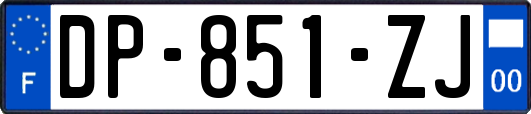 DP-851-ZJ