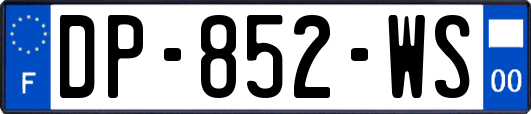 DP-852-WS