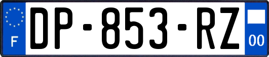 DP-853-RZ