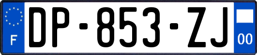 DP-853-ZJ