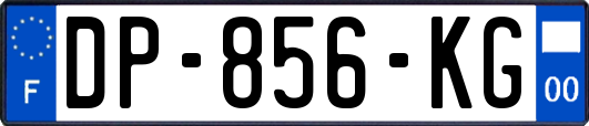 DP-856-KG
