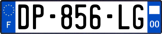 DP-856-LG