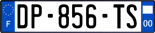 DP-856-TS