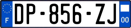 DP-856-ZJ