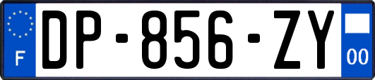 DP-856-ZY