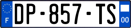 DP-857-TS