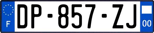 DP-857-ZJ