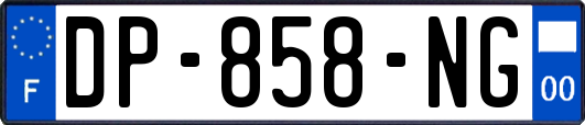 DP-858-NG