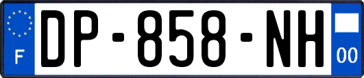 DP-858-NH
