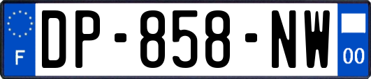 DP-858-NW