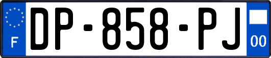 DP-858-PJ