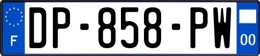 DP-858-PW