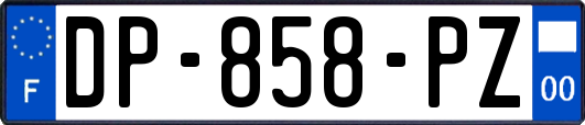 DP-858-PZ