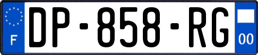 DP-858-RG