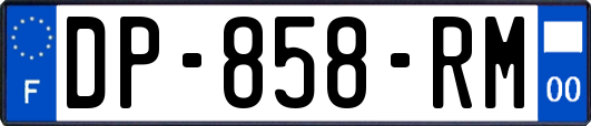 DP-858-RM