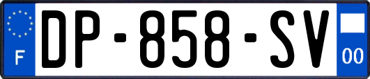 DP-858-SV