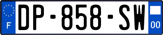 DP-858-SW