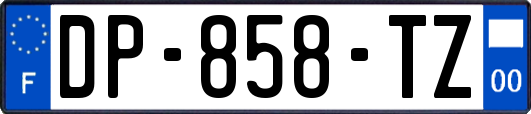 DP-858-TZ