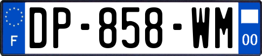 DP-858-WM