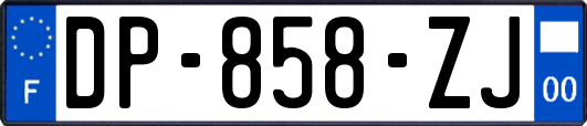 DP-858-ZJ