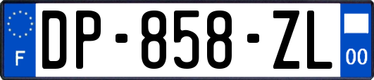 DP-858-ZL