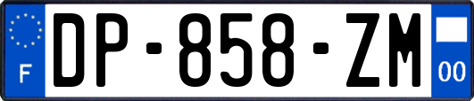 DP-858-ZM