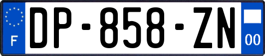 DP-858-ZN