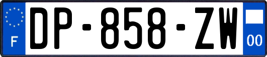 DP-858-ZW