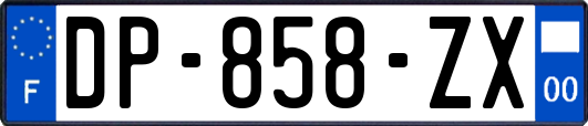 DP-858-ZX