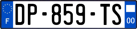 DP-859-TS